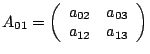 $A_{01}=\left(\begin{array}{cc}
a_{02} & a_{03}\\
a_{12} & a_{13}\end{array}\right)$