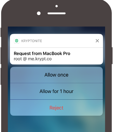 Allow once. SSH со смартфона. Notify картинка. Notification request.