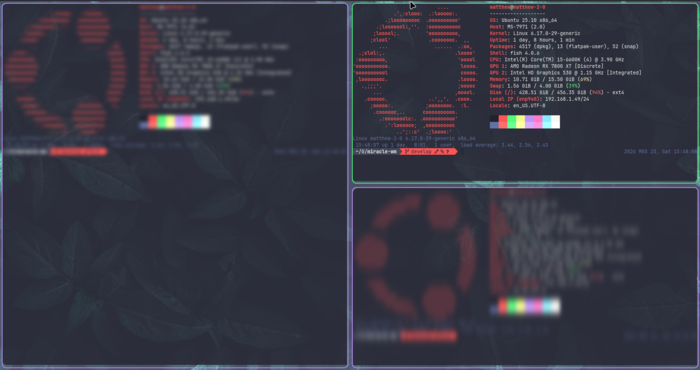 CFD0C5CECEC5D4_1782108713.png